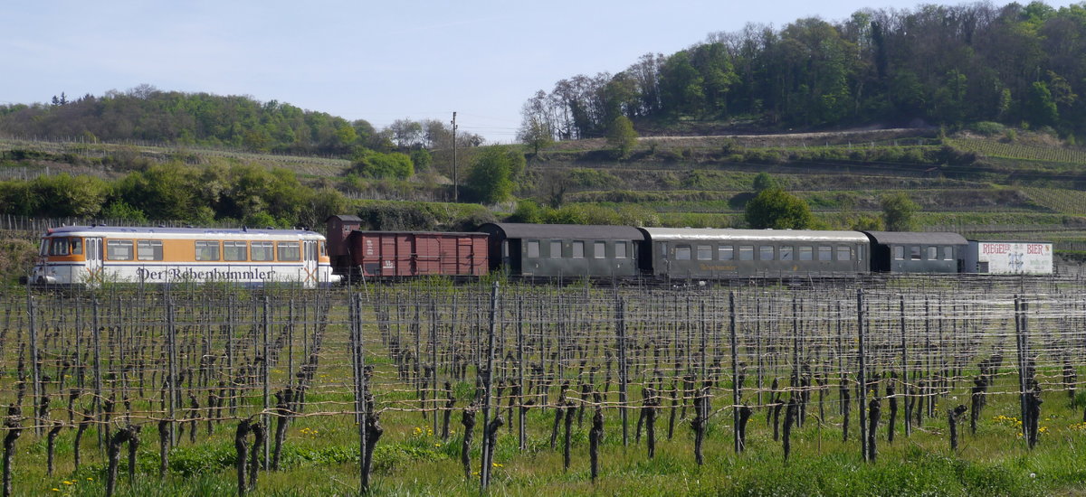 Der Rebenbummler, der vom ehemaligen SWEG-VT 28 gezogene Museumszug der Kaiserstuhlbahn (Eisenbahnfreunde Breisgau), abgestellt in Oberrotweil, 11.4.17.