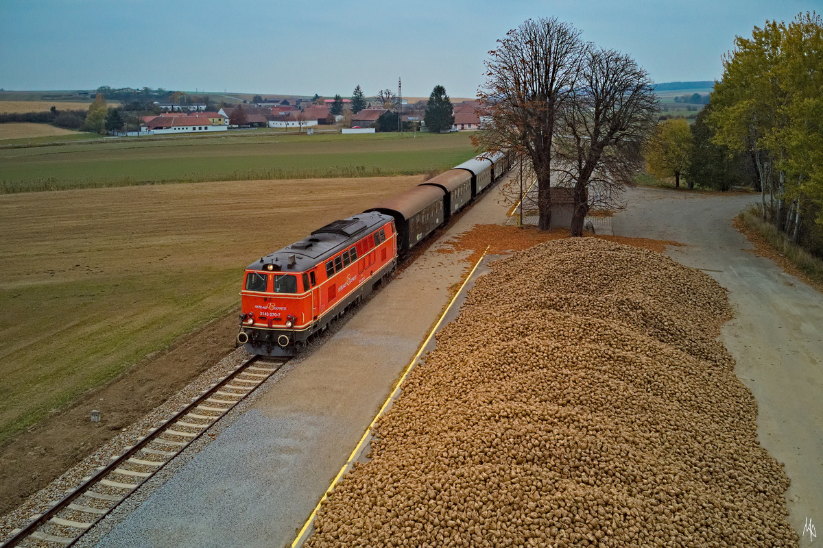 Der Reblausexpress in Pleißing-Waschbach. (01.11.2021)