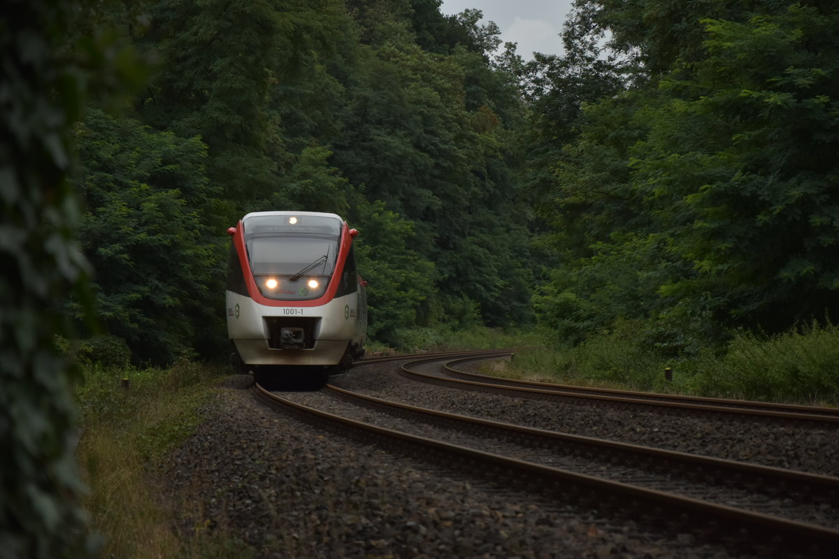 Der REGIO-Triebwagen 1001 nach Kaarster See bei Haus Morp am Freitag den 18.8.2017