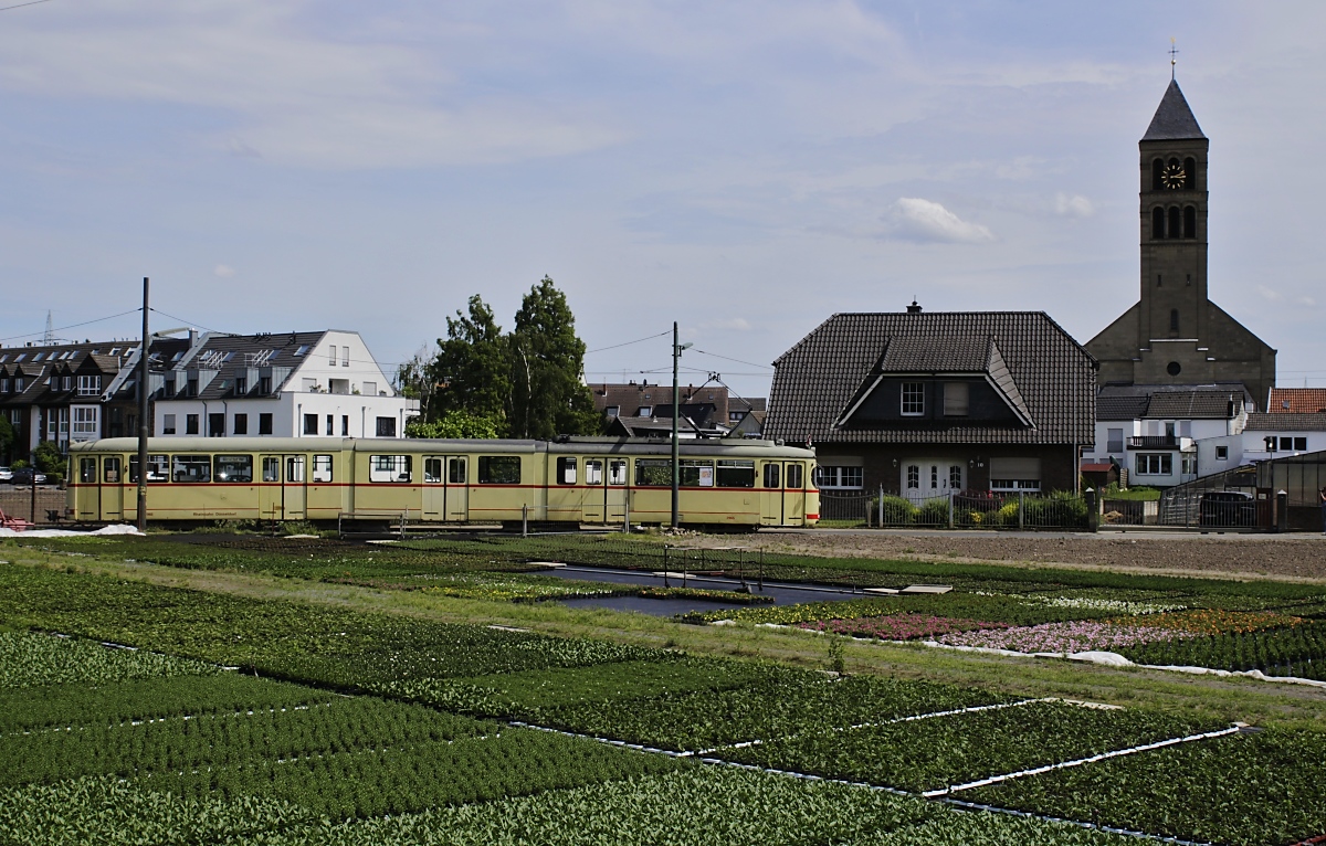 Der Rheinbahn-GT8 2965 beim Wendemanöver am 09.06.2019 in Düsseldorf Hamm. Wegen des hier angebauten Kohls wird der Stadtteil auch  Kappes Hamm  genannt.