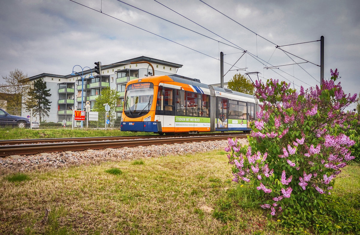 Der rnv-Tramwagen 4134 fährt nahe der Haltestelle Viernheim, Tivoli (RNZ) vorüber.
Unterwegs war die Garnitur auf der Linie 5 (Weinheim, Alter OEG-Bahnhof - Mannheim -
 Heidelberg - Weinheim, Alter OEG-Bahnhof).
Aufgenommen am 7.4.2017.