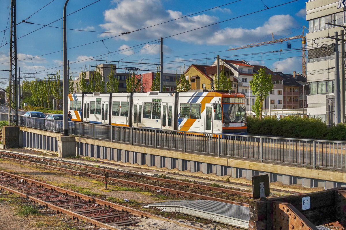 Der rnv-Tramwagen 5620 fährt kurz vor der Haltestelle Mannheim Hauptbahnhof vorüber.
Unterwegs war die Garnitur auf der Expresslinie 8 (Oppau, Endstelle - Mannheim, Krappmühlstraße).
Aufgenommen am 6.4.2017.