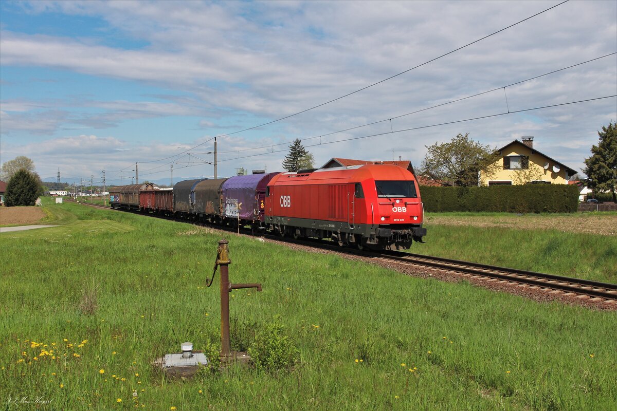 Der Samstags verkehrende DG44455 von Graz Vbf nach Maribor Tezno wurde am 29.4.2023 von der 2016 036 auf seinem Weg bis Spielfeld-Straß bespannt und fährt hier bei Neudorf ob Wildon.