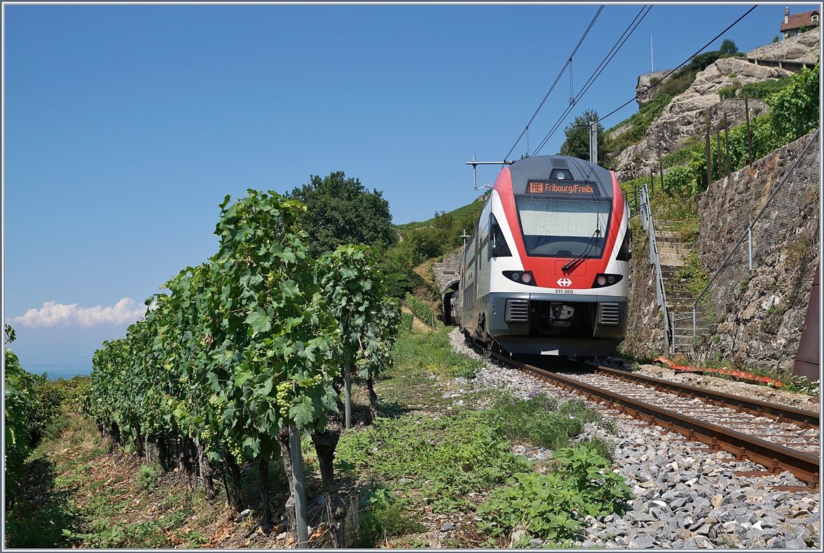Der SBB RABe 511 020 der Einfahrt in den 20 Meter langen Salanfe Tunnel. Während der baubedingt Sperre  im Sommer 2018 der Strecke Lausanne - Puidoux - (Bern) verkehrten im Halbstundentakt IR Züge von Genève nach Friborg via Vevey und somit über die  Train des Vignes Strecke. 

18. Juli 2018