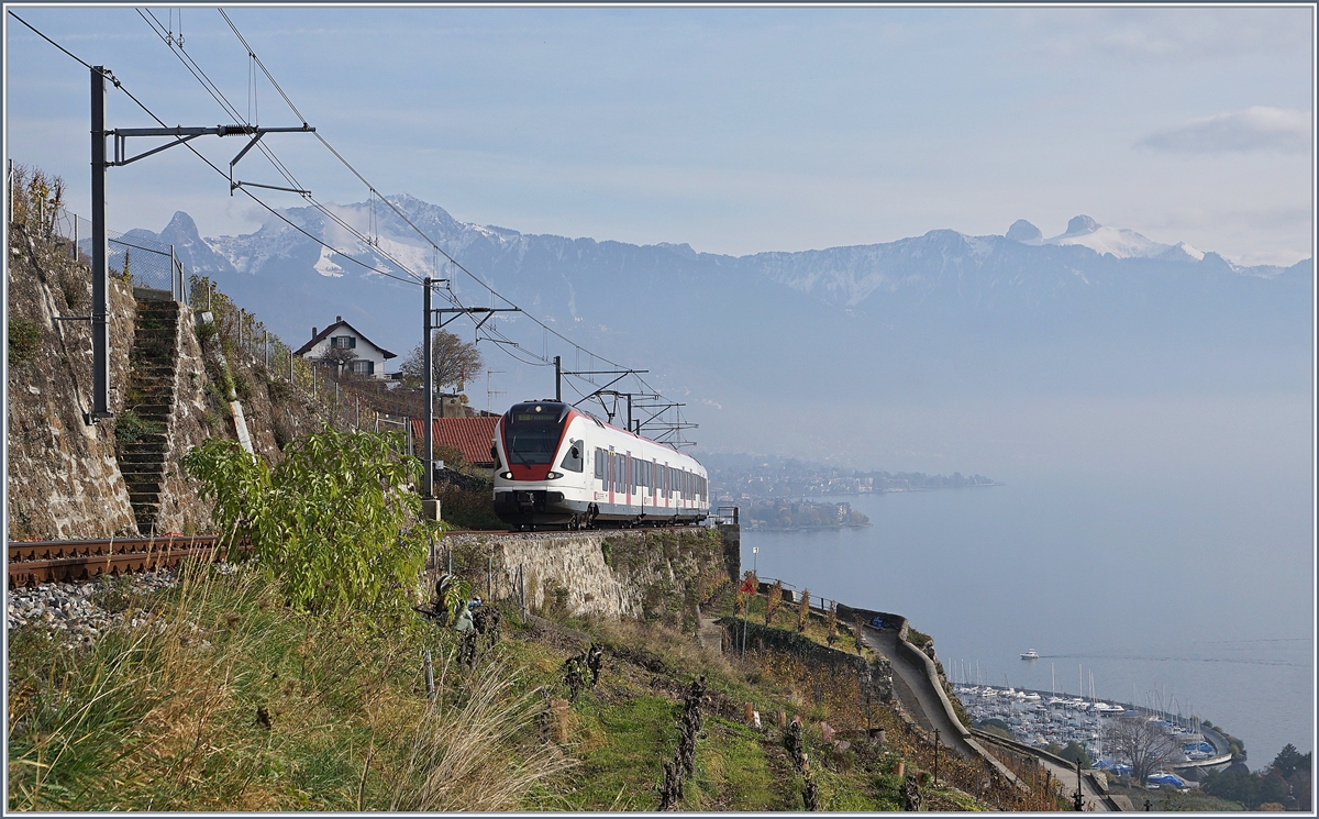 Der SBB RABe 523 027 ist als S7 auf dem Weg nach Palézieux und konnte zwischen Vevey und Chexbres oberhalb von St-Saphorin aufgenommen werden. 

24. Nov. 2019