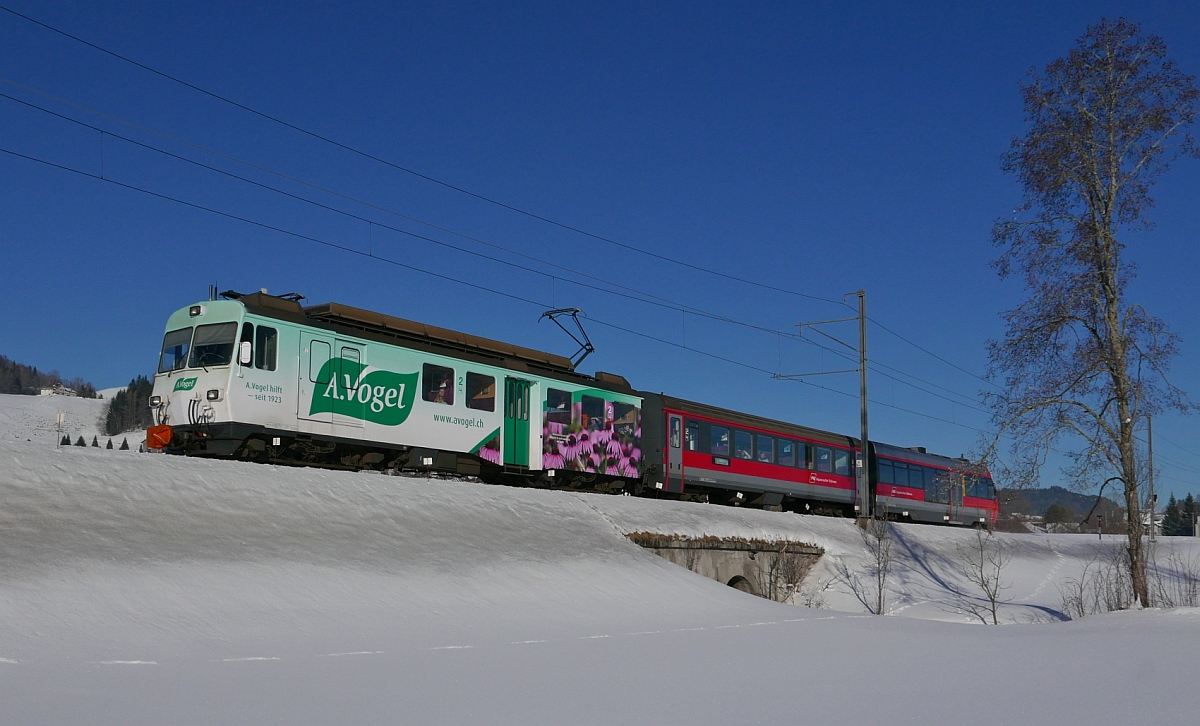 Der seit Anfang Dezember 2016 beklebte Triebwagen BDeh 4/4 14 ‘GAIS‘ konnte am 21.01.2017 kurz nach der Abfahrt in Gais fotografiert werden, als dieser den S22 2141, St.Gallen - Appenzell zog.