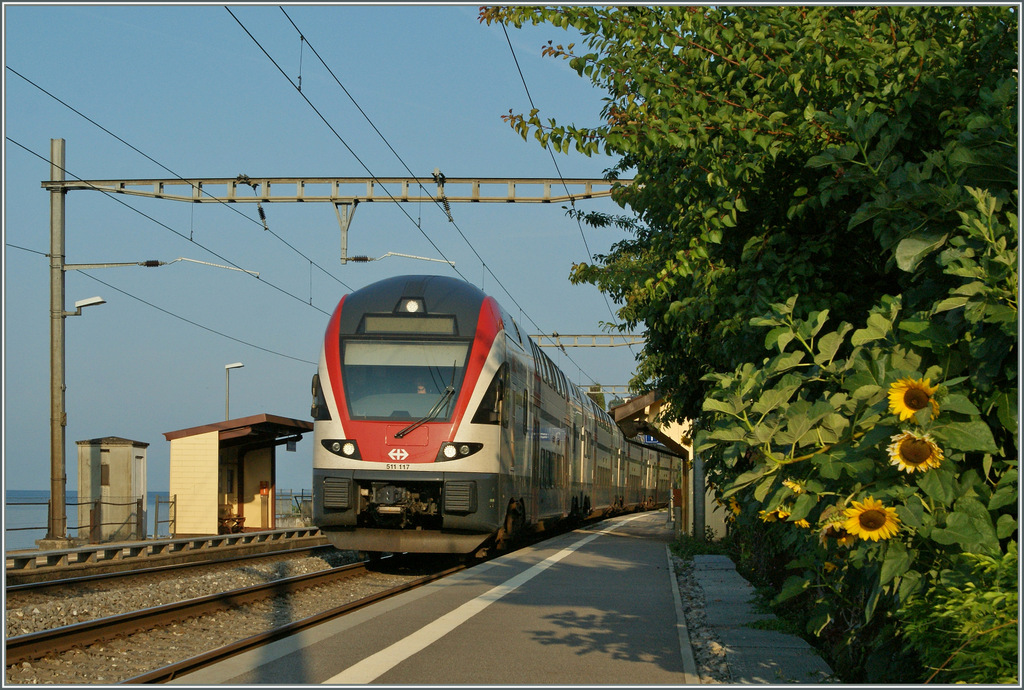 Der Sommer neigt sich dem Ende zu und so passiert der RABe 511 117 als RE 2709 die letzten Sonnenblumen bei St-Saphorin.
31. August 2013