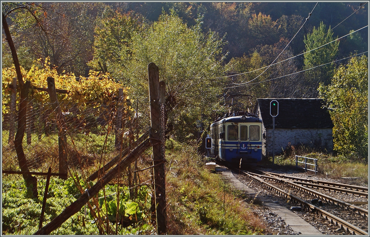 Der SSIF ABe 6/6 35  Verbano  verlässt als Regionalzug 750 von Re nach Domodossola das herbstliche Verigo. 
31. Okt. 2014