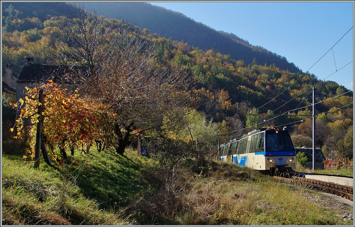 Der SSIF  Treno Panoramico Vison Vigezzo Vision  D 53 P auf der Fahrt von Domodossola nach Locarno erreicht Verigo. 
31. Okt. 2014