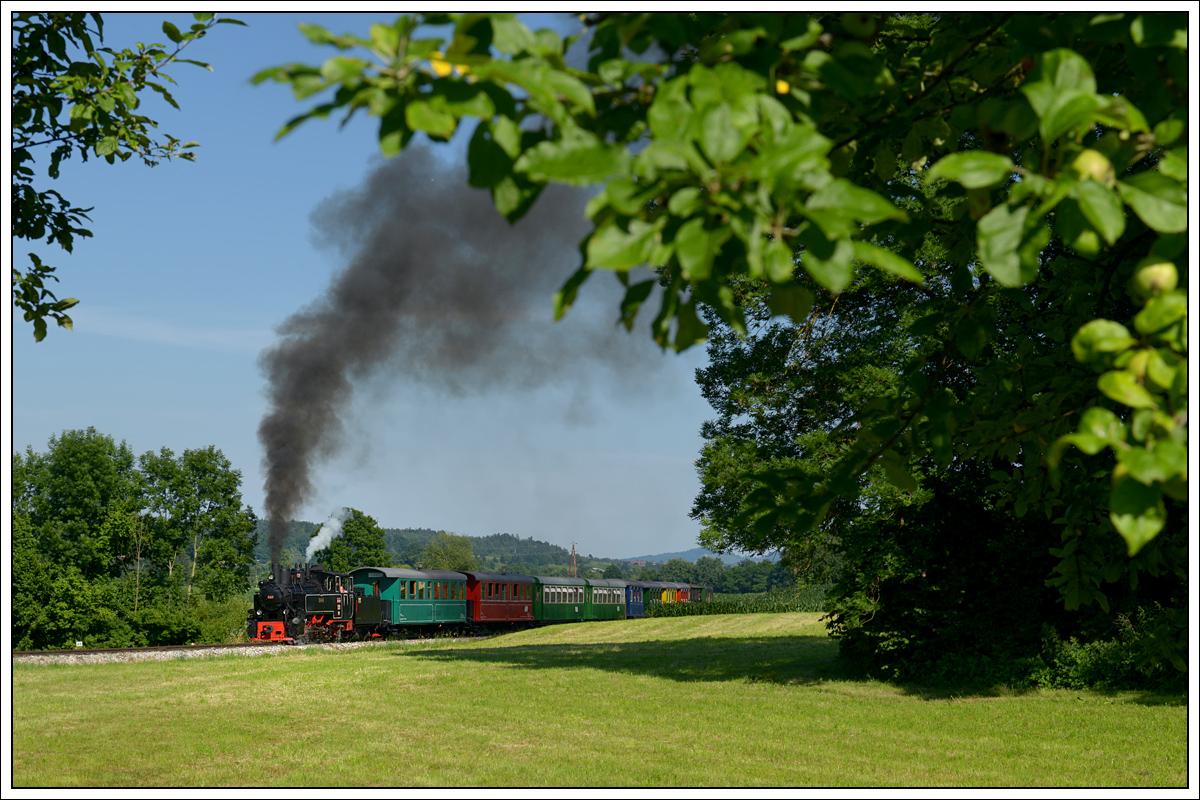 Der Stainzer Flascherlzug am 29.6.2019 kurz vor der Haltestelle Herbersdorf.