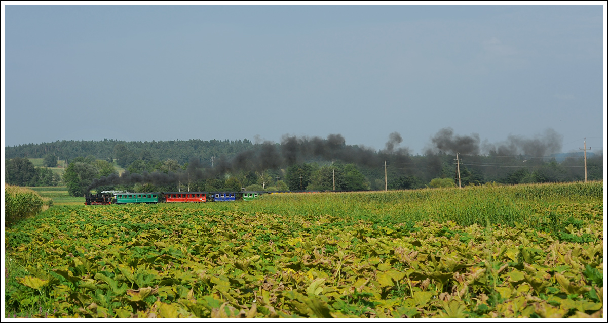 Der Stainzer Flascherlzug am 9.8.2017 zwischen Kraubath und Neudorf/Stainztal aufgenommen.