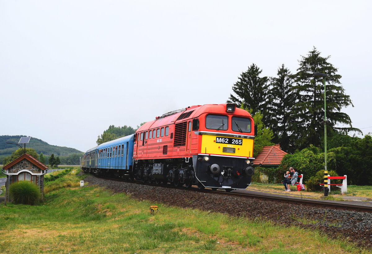 Der Stern der Retro-Wochenende Rund um Plattensee.
Die Taigatrommel M62 265 mit einem Planzug bei der Durchfahrt in Badacsonylábdihegy.
13.08.2022.