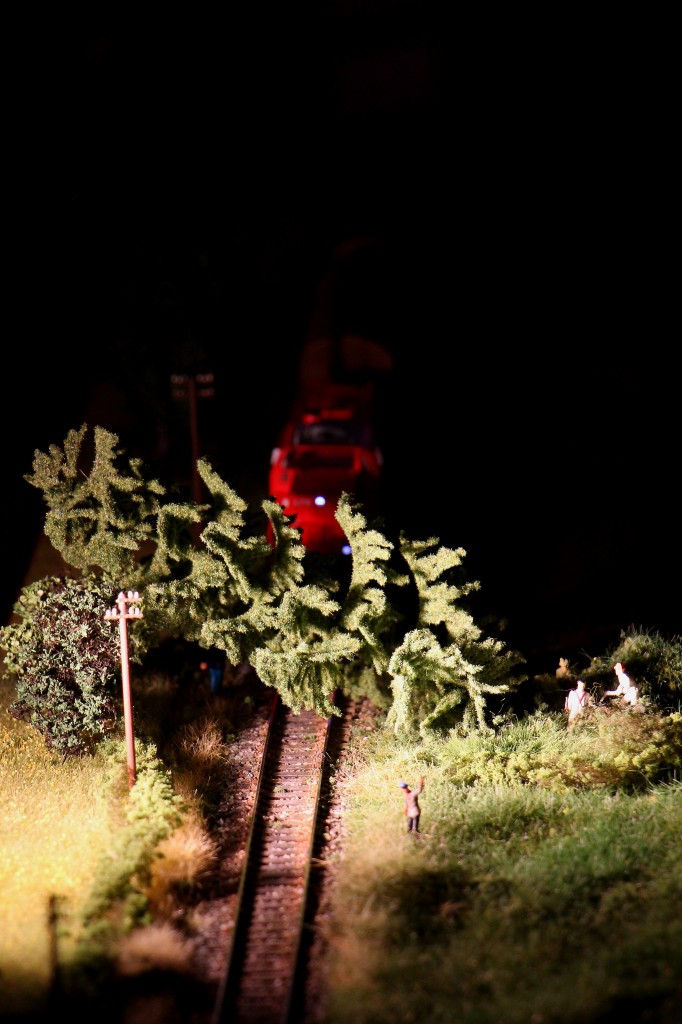 Der Tag ist schon lang , man freut sich aufs Bett und führt seinen letzten Zug durchs Sulmtal . Doch plötzlich ...... 

Bei Baum-fällarbeiten am Abend verfehlte der Baum die Richtung und landet auf den Geleisen der Sulmtalbahn bei Gleinstätten. Eines von vielen Details die neu zu bewundern sind  ..