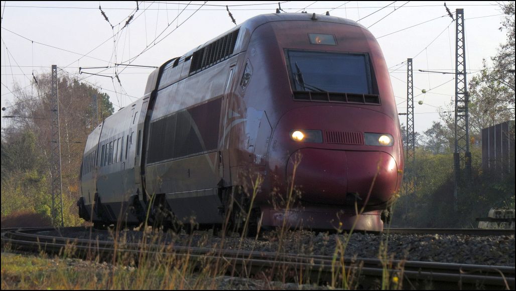Der Thalys im Gleisbogen bei Eschweiler auf der Kbs 480 am 29.Nov.2014.
Bildlich festgehalten aus der Froschperspektive vom Parkplatz aus.