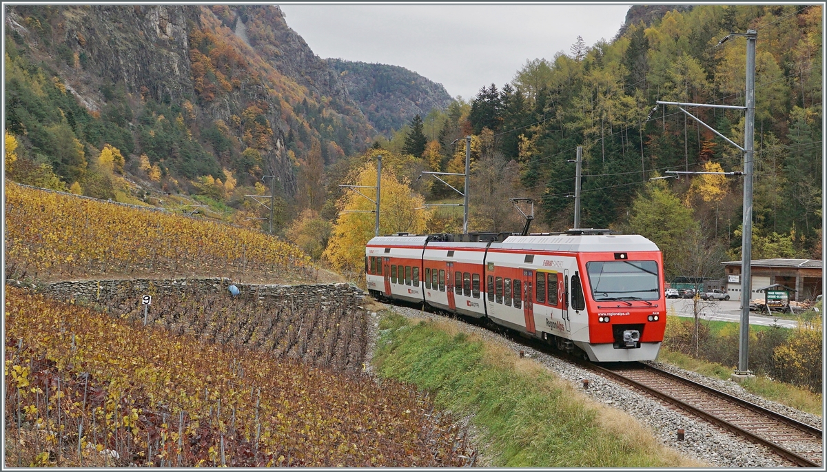 Der TMR RegionAlps RABe 525 038 ist von Le Châble nach Martigny unterwegs und erreicht kurz vor Bovernier die für ein schmales Alpental eher ungewohnten aber fröhlich bunten Rebberge.

5. November 2020