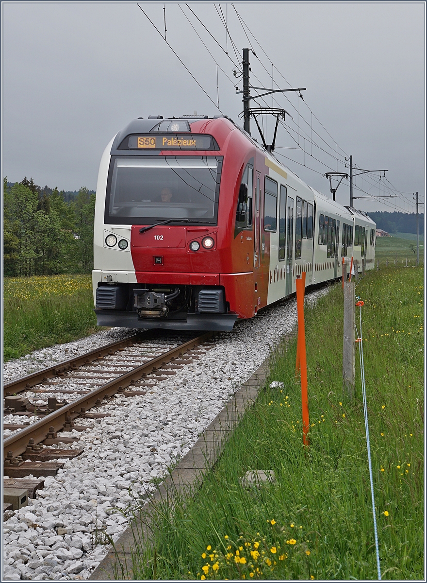 Der TPF SURF ABe 2/4 102 -B - Be 2/4 102 als S 50 von Bulle nach Palézieux unterwegs erreicht La Verrerie. 

12. Mai 2020