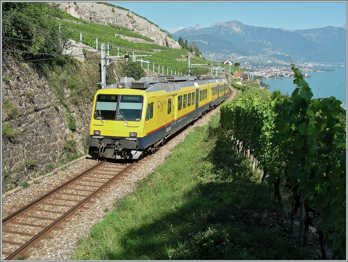 Der Train des Vignes als S 31 nach Vevey in den Weinbergen des Lavaux.
14. Juli 2007