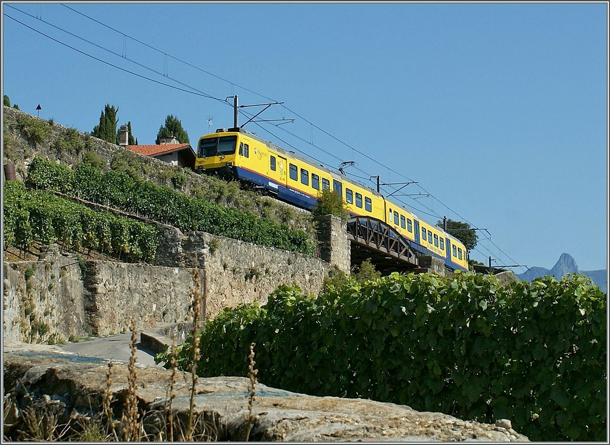 Der  Train des Vignes  in den Rebbergen zwischen Vevey und Chexbres. 
6. Sept. 2009