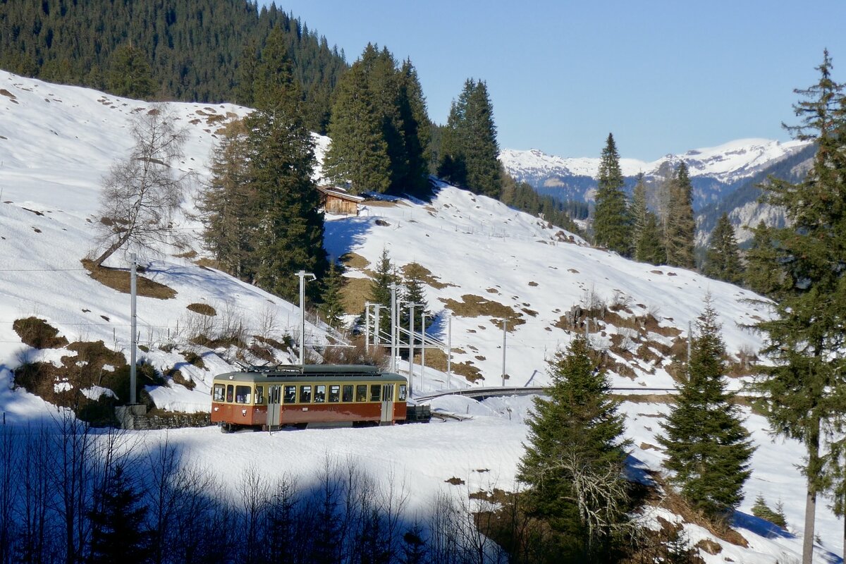 Der Triebwagen Be 4/4 31  Lisi  am 28.1.24 kurz vor der Staubbachbrücke zwischen Grütschalp und Winteregg.
