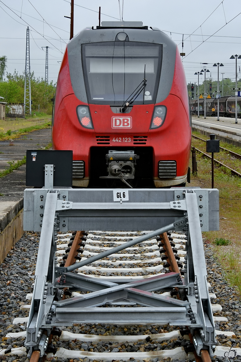 Der Triebzug 442 123 wartet auf den nächsten Einsatz, so gesehen im Mai 2021 am Hauptbahnhof in Neustrelitz.