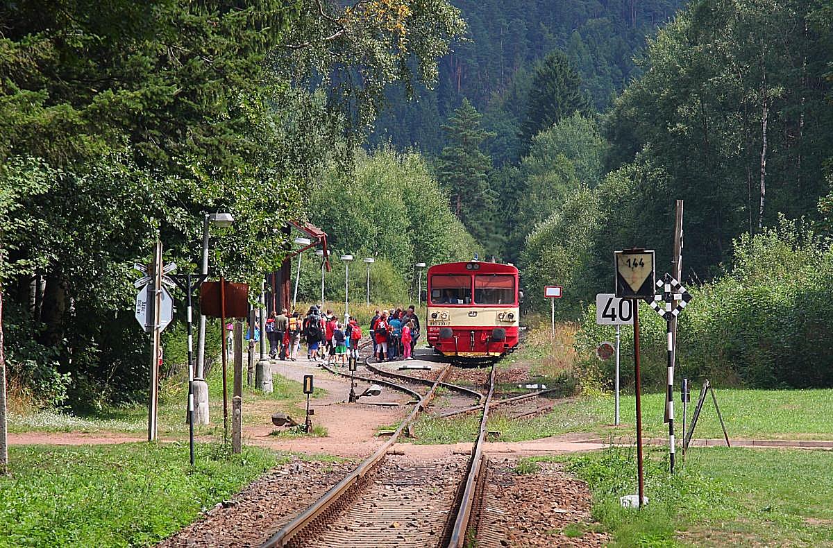 Der in Tschechien bekannte Ausflugsort Adspach mit seinem sehenswerten Felsenmeer hat auch einen Bahnanschluss. Viele Ausflügler nutzen die Bahn, so dass die Triebwagen in der Sommersaison immer gut besetzt sind. Am 21.8.2013 fotografierte ich in dem Waldbahnhof Adrspach den 810233, der gerade aus Teplice nad Martuji angekommen war. 
