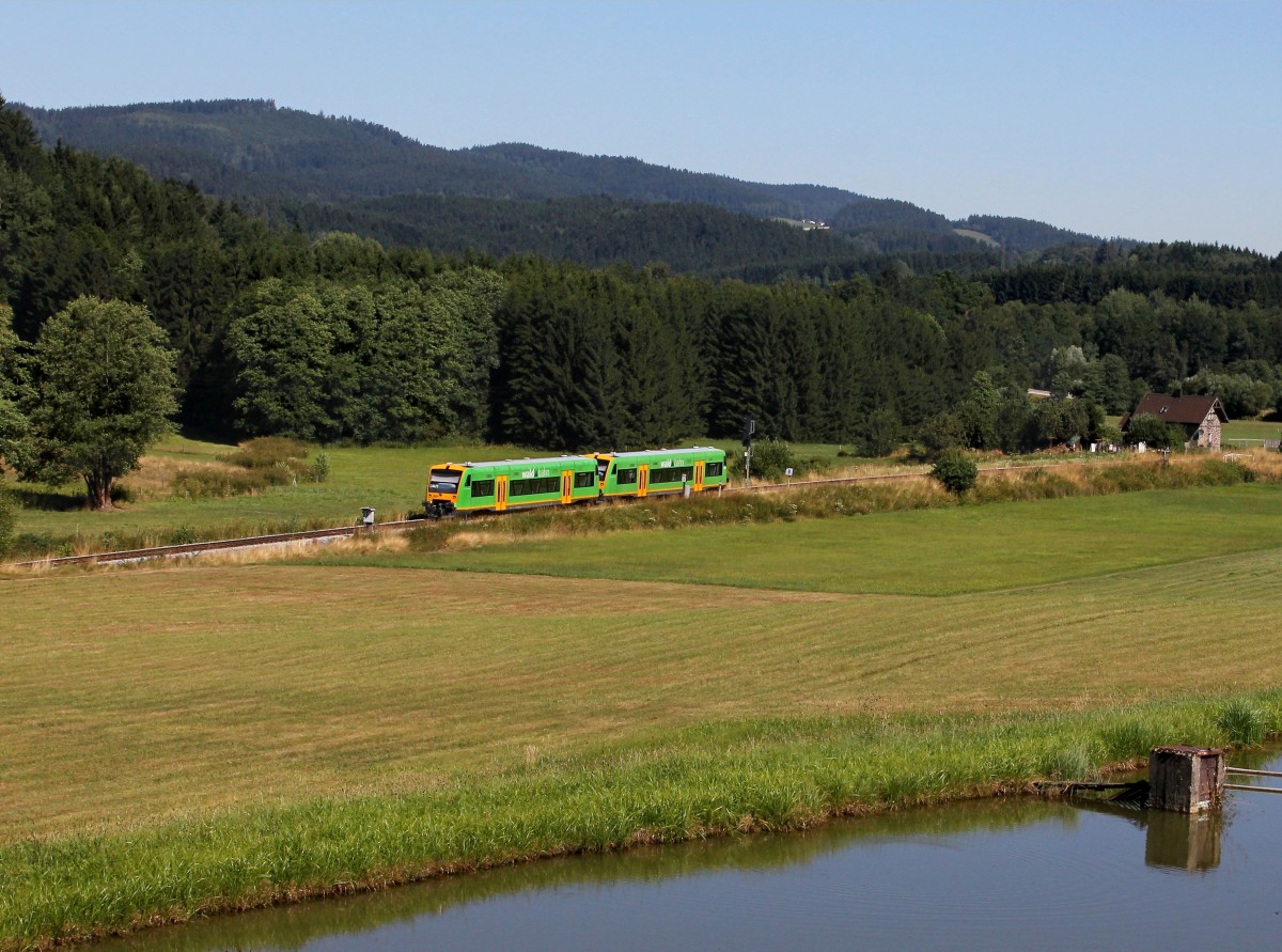 Der VT 19 und der VT 18 als RB nach Plattling am 02.08.2013 unterwegs bei Gotteszell.