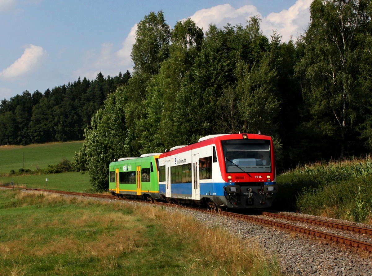 Der VT 65 und der VT 27 bei einer berfhrungsfahrt nach Zwiesel am 17.08.2013 unterwegs bei Gotteszell.