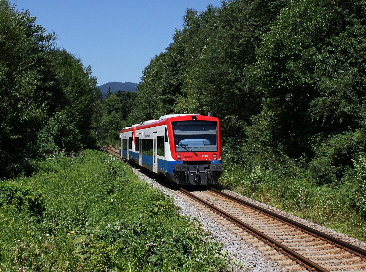 Der VT 65 und der VT 63 als RB nach Bayerisch Eisenstein am 02.08.2013 unterwegs bei Ulrichsberg.