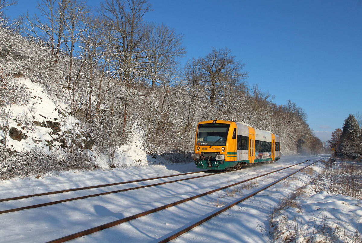 Der VT 650 059  Trilex  im Einsatz bei der Vogtlandbahn. Aufgenommen bei bestem Winterwetter zwischen Kübitz und Weischlitz. Unterwegs am 19.01.2024 war der Zug nach Cheb. 