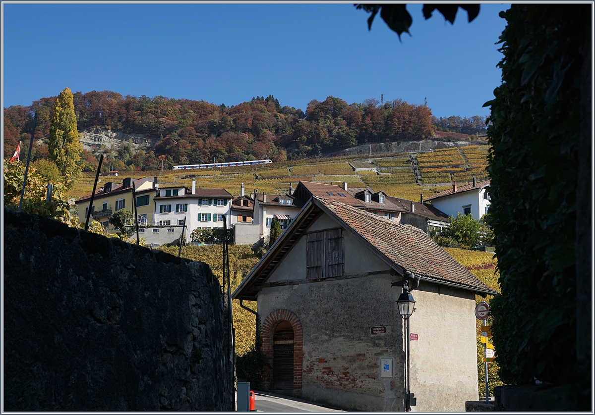 Der Wanderweg von Cully nach Rivaz führt bei Epesses durch einen schattigen, schmalen Aufstieg, welcher am  Ende des Tunnels  einen schönen Blick auf Epesses und die Strekce Lausanne - Bern bietet, welche gerade von einem SBB Flirt, unterwegs als S4 12438 von Palézieux nach Allaman, befahren wird.
18. Okt. 2017