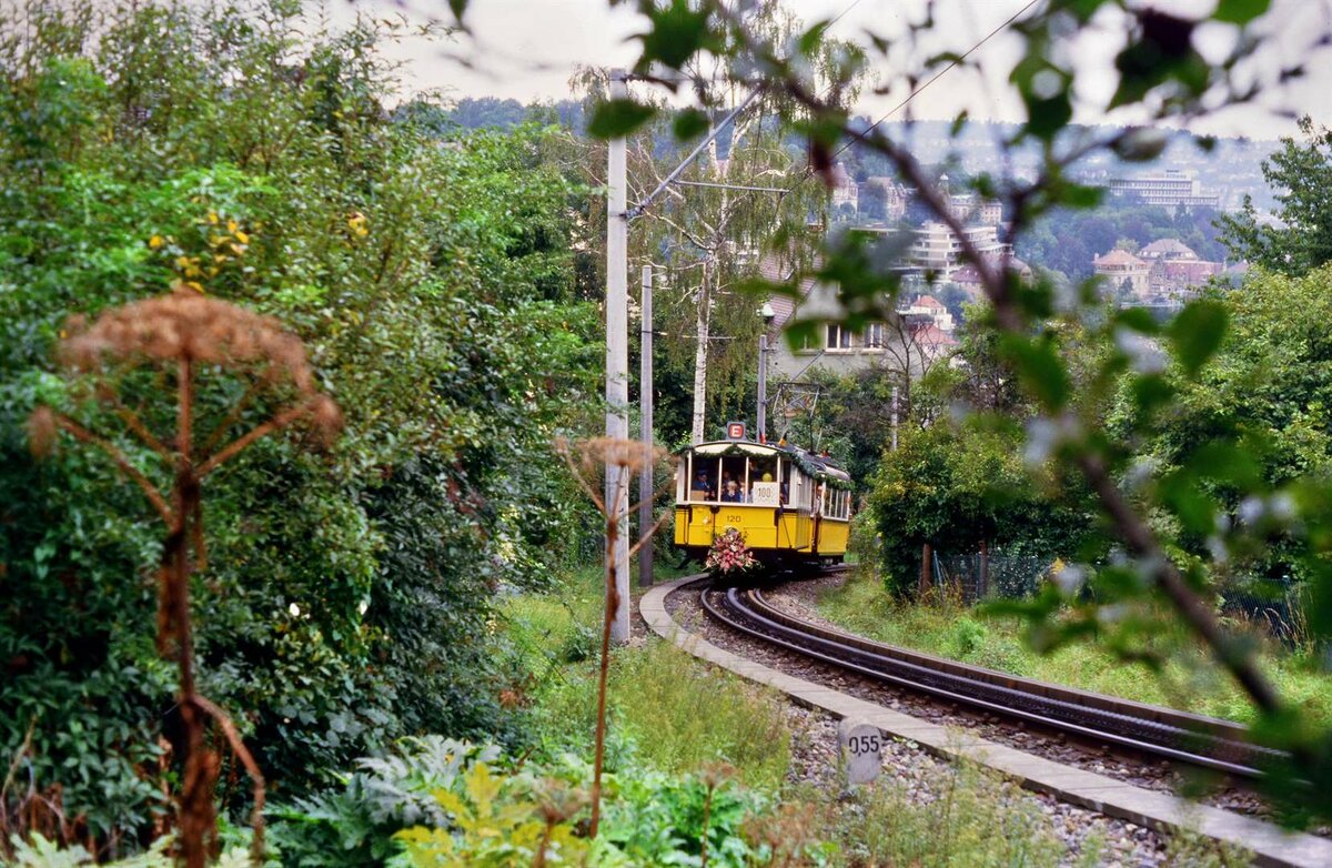 Der Weg nach Degerloch ist noch weit: Vorstellwagen 120 und TW 104 der Stuttgarter Zahnradbahn mitten in der städtischen Natur unterwegs in Richtung Wielandshöhe. Das Foto entstand am 15.09.1984 zu Ehren ihres hohen Alters (100).