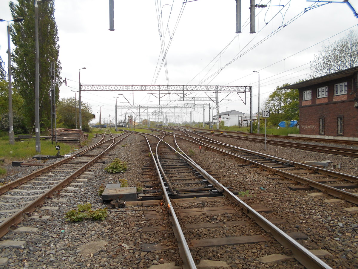 Der westliche Trennungsbereich von Szczecin Gumience mit dem linken Streckenabzweig nach Angermünde und rechts nach Pasewalk.Aufnahme vom Bahnübergang aus am 02.Mai 2019.