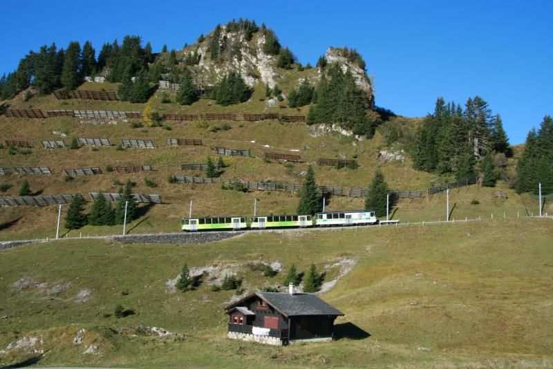 Der Zug 439 gefhrt vom Bt 64 und betrieben vom BDeh 4/4 81 auf Talfahrt vom Col-de-Bretaye nach Villar sur Ollon kurz nach dem Verlassen der Bergstation; 19.10.2013