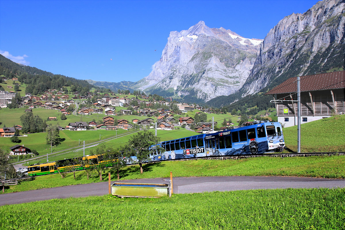 Derart lange Züge waren auf der Grindelwald-Strecke früher undenkbar; da gab es (abgesehen von den ganz alten Lokomotivzügen) nur Triebwagen mit Steuerwagen, ggf. mit vorangestelltem Skitransportwagen. Hinter den Obstbäumchen tauchen die beiden Panoramatriebwagen 142 und 148 auf der Fahrt Grindelwald - Kleine Scheidegg auf, und mögen dabei fast nicht ins Bild. 3.September 2019   