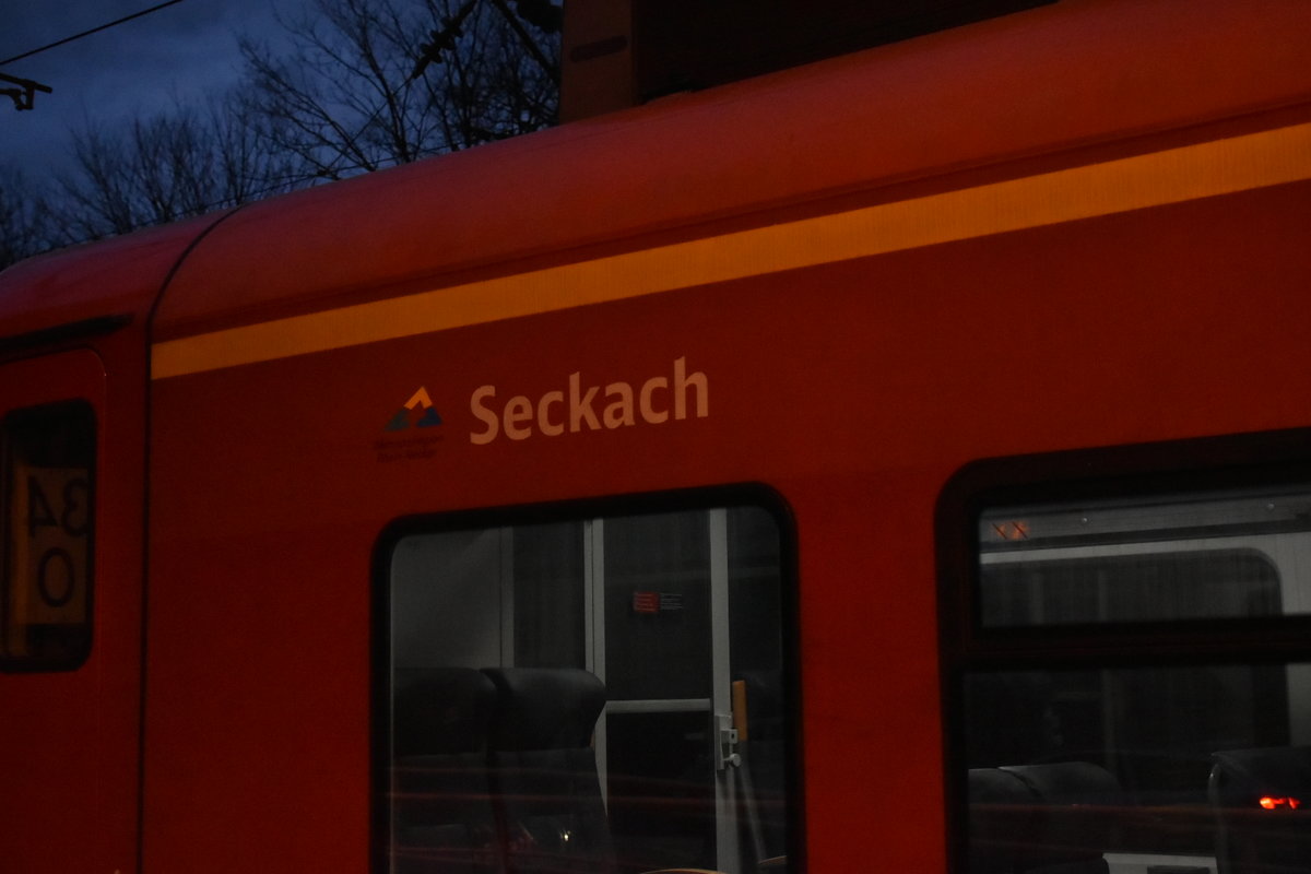 Detailansicht mit Namenszug des 425 714-3 der als S1 nach Osterburken am Mittwochabend den 11.3.2020 in Neckargerach auf Gleis 1 eingefahren ist.