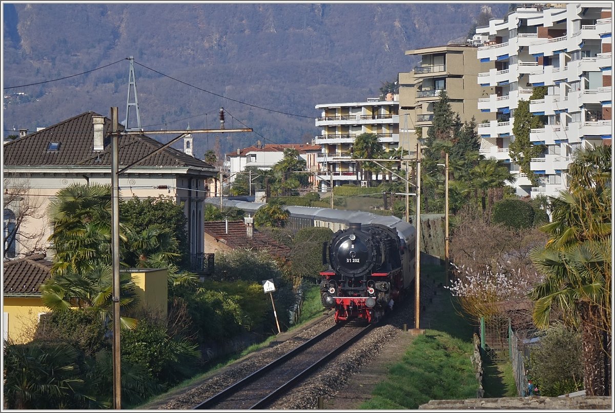 Die 01 202 mit dem vom  Eisenbahn Nostalgiefahrten Bebar e.V.  organisierten Dampfzug zur Mehrtagesfahrt über den Gotthard wird von Bellinzona kommend, als Leermaterial nach Locarno geführt. 
Muralto, den 22.03.2018