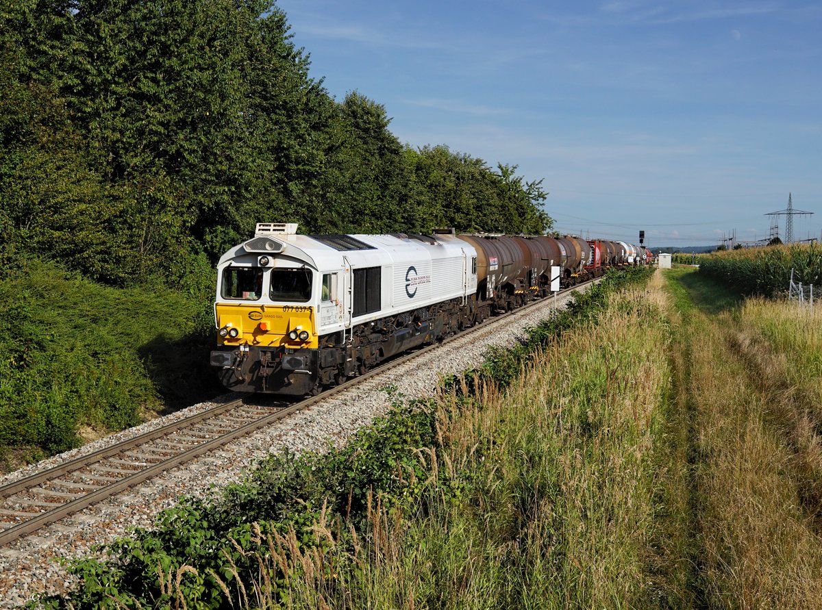 Die 077 037 mit einem Güterzug am 09.08.2019 unterwegs bei Pirach.