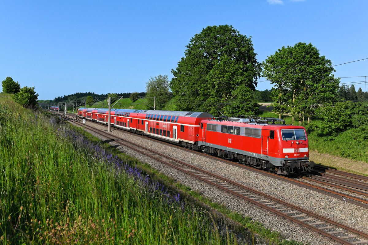 Die 111 127 verstärkt seit Ende 2021 den Bestand der Baureihe beim BW München 1. Davor war sie hauptsächlich in Nordrhein-Westfalen aktiv. Am 25. Mai 2023 konnte ich die Lok vor dem RE 59077 von Ingolstadt nach München HBF bei Vierkirchen fotografieren. Zum Aufnahmezeitpunkt war der Lavendel am Bahndamm in voller Blüte.  