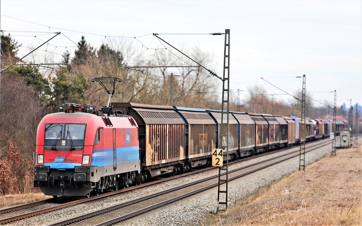 Die 1116 045 fährt mit einem Audizug in Langenisarhofen vorüber.Bild 10.3.2018