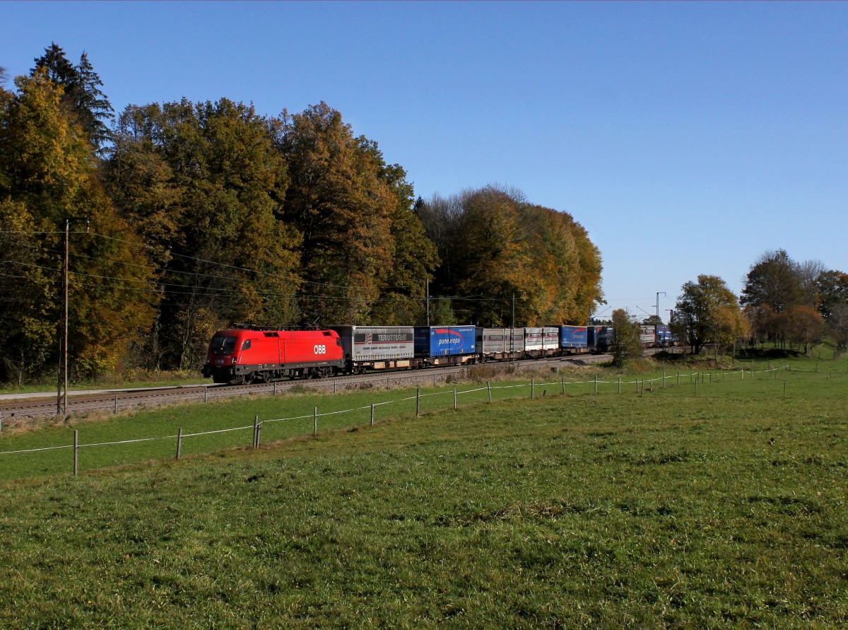 Die 1116 055 mit einem Umgeleiteten KLV-Zug am 02.11.2014 unterwegs bei Hufschlag.