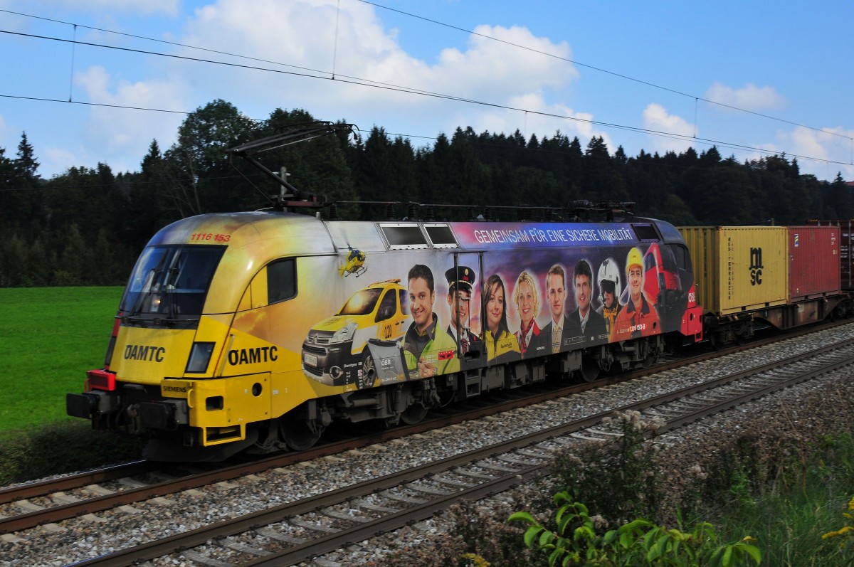 Die 1116 153 sog. ÖAMTC-Lok der ÖBB vor einem Güterzug zwischen Bergen und Übersee am 02.10.14