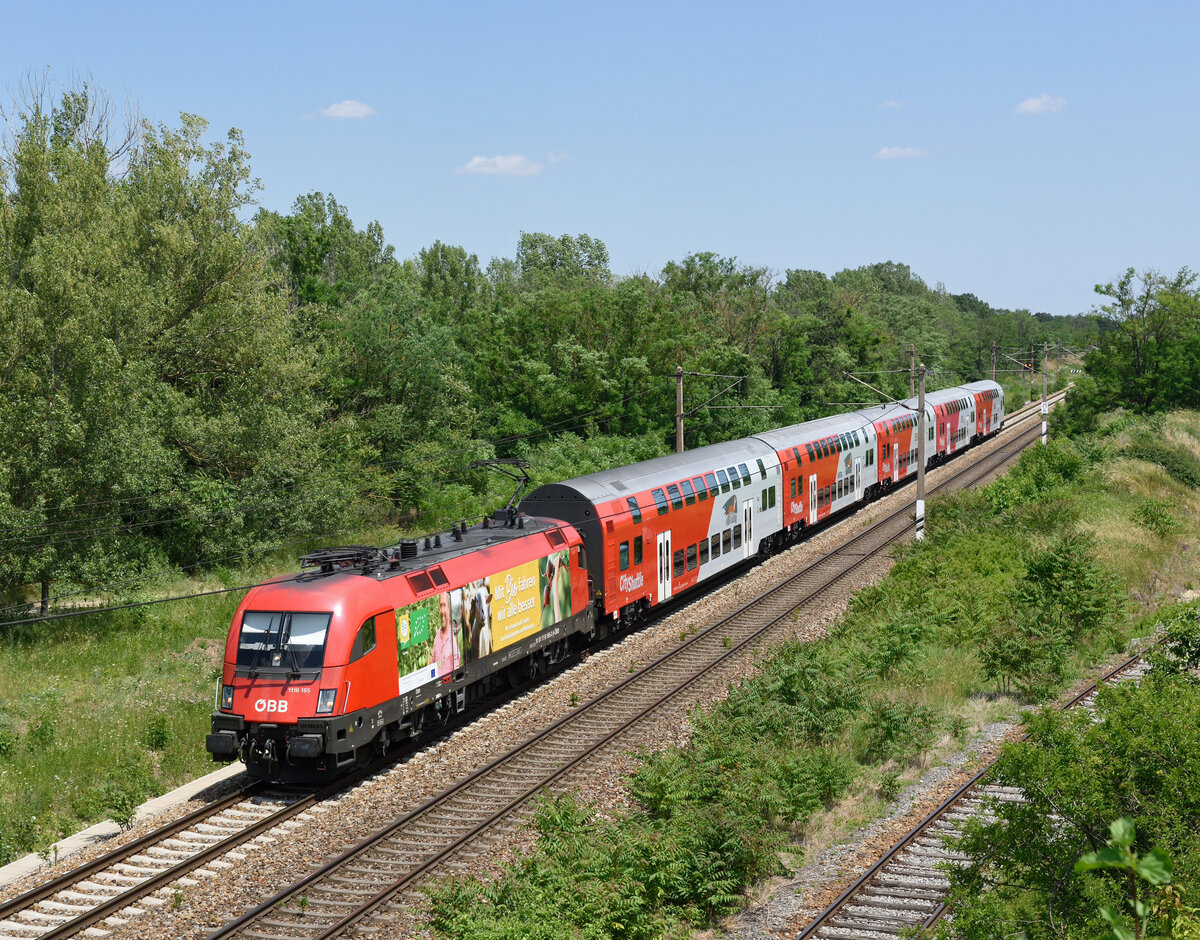 Die 1116 165  BIO Austria  bespannte am 18. Juni 2021 den REX 1 von Breclav nach Wiener Neustadt, und wurde von mir in Strasshof an der Nordbahn fotografiert.