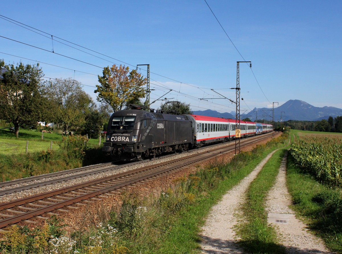 Die 1116 182 mit einem OIC am 19.09.2014 unterwegs bei Straß.
