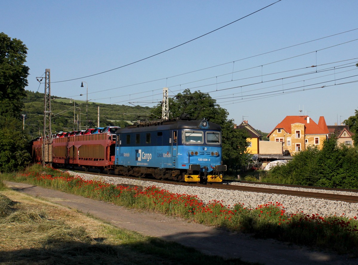 Die 123 028 mit einem Autozug am 04.06.2015 unterwegs bei Křešice.