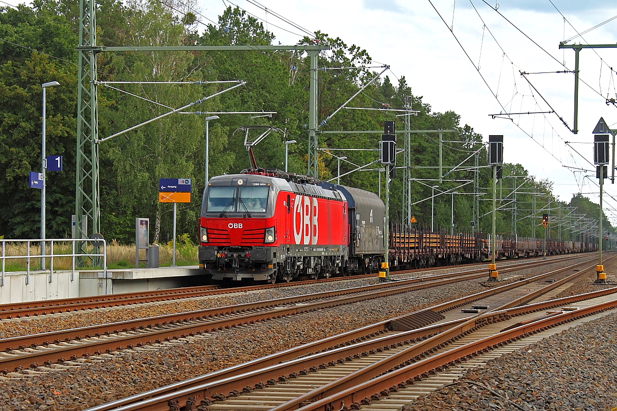 Die 1293 004 mit einem gemischten Güterzug am 17.08.2019 in Nassenheide.