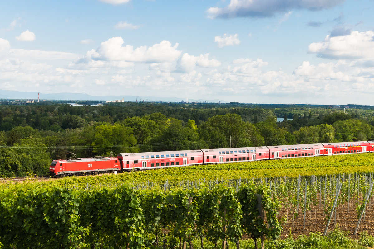 Die 146er mit dem RB Basel - Freibug oberhalb der Rheinebene hat gleich ihren nächsten Haltepunkt Bad Bellingen erreicht. 03.07.2020