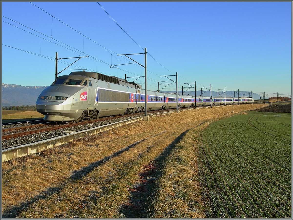 Die 180° Kurve auf dem praktisch freien Feld bei Arnex eignet sich besonders im Winter ausgezeichnet, eine ganzen TGV aufs Bild zu bekommen, und da die TGV hier nicht allzu schnell fahren, gelang das Vorhaben selbst mit kleinen Nikon 7900.
TGV Lyria 116 von Lausanne nach Paris am 23. Januar 2008