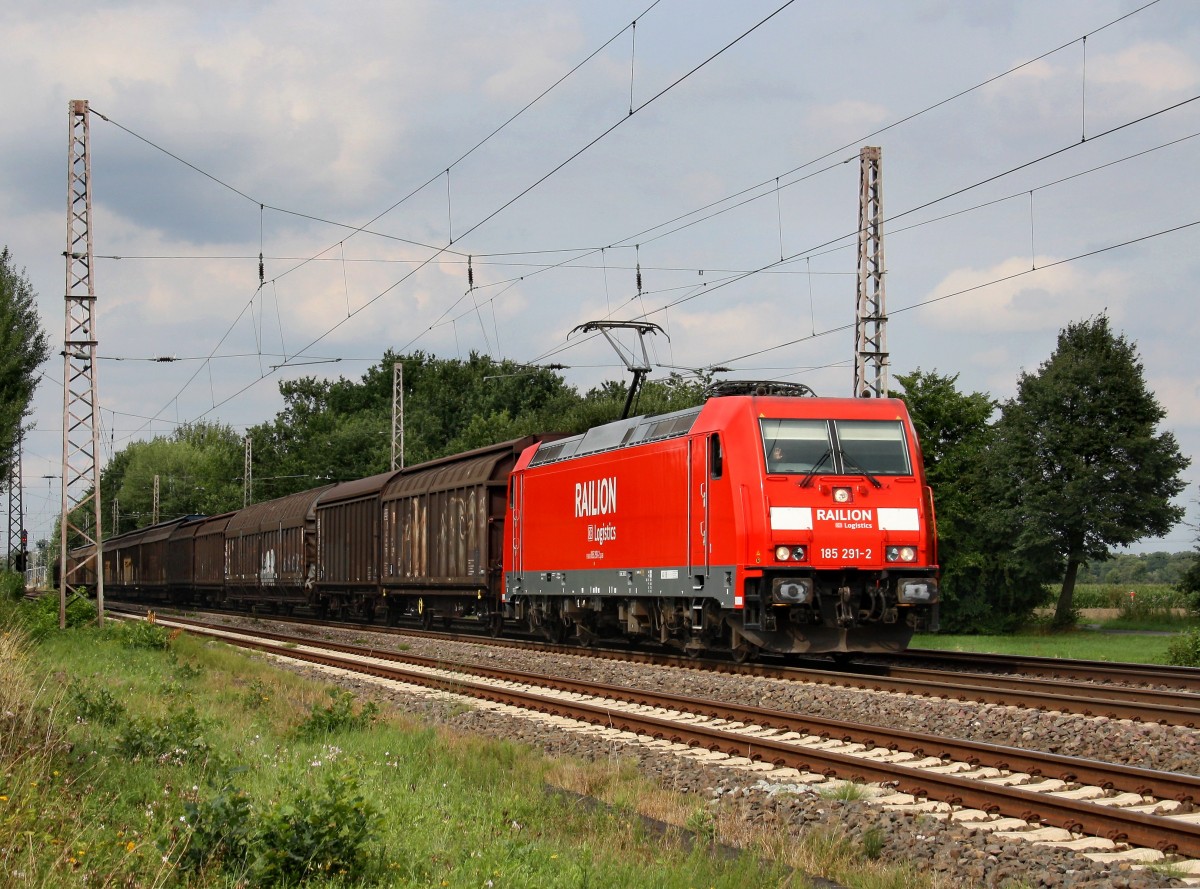 Die 185 291 mit einem Gterzug am 11.08.2010 unterwegs bei Drverden.