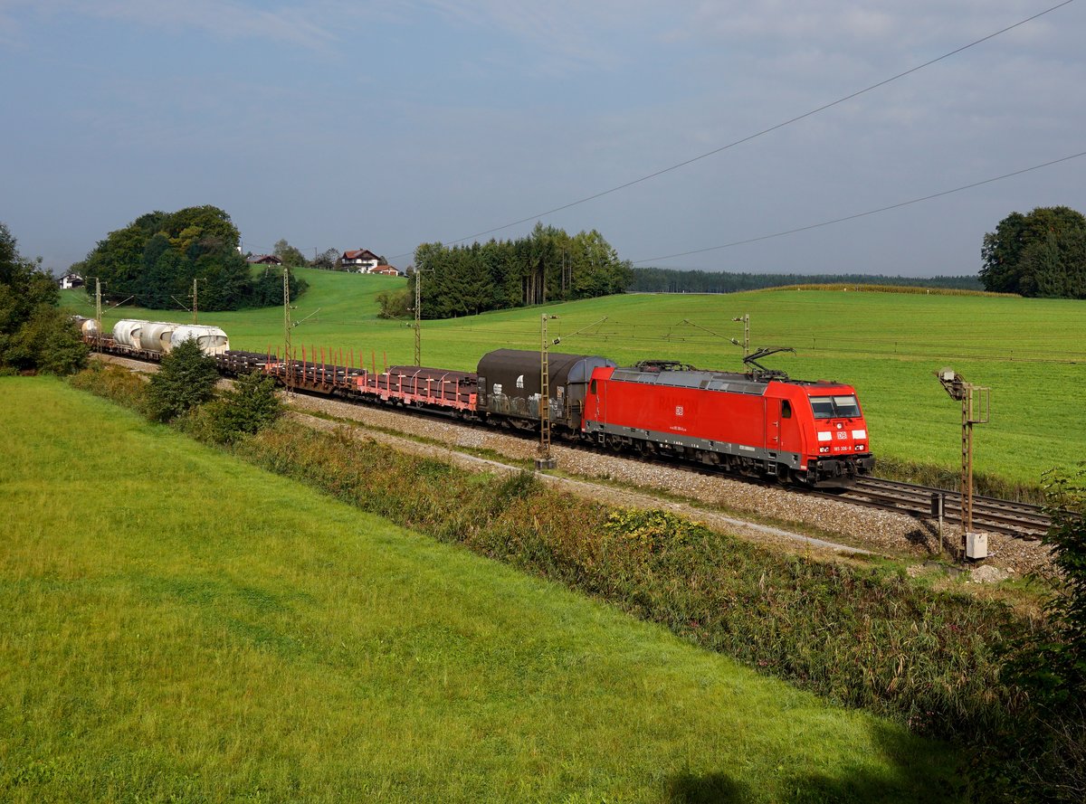 Die 185 306 mit einem Güterzug am 23.09.2017 unterwegs bei Straß.