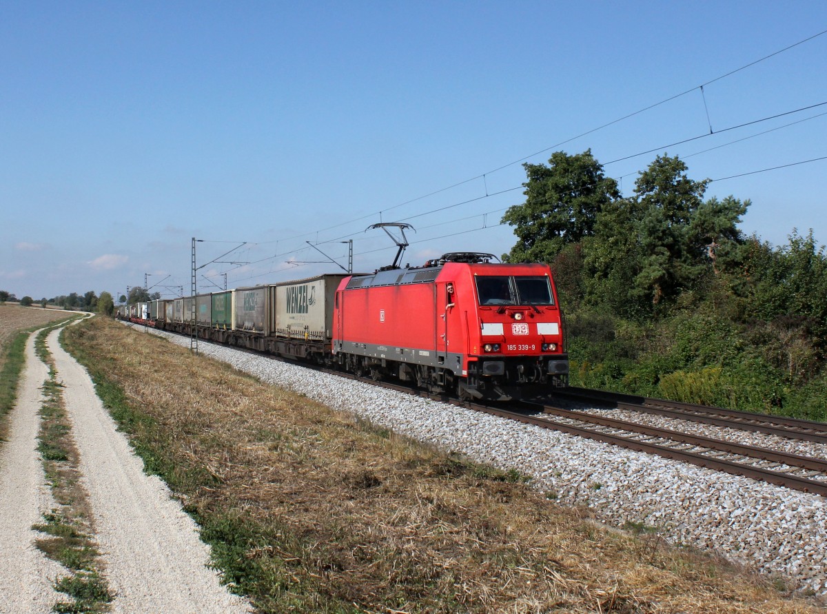 Die 185 339 mit einem KLV-Zug am 19.09.2015 unterwegs bei Langenisarhofen.